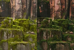 15 Moody Woods Lightroom Presets
