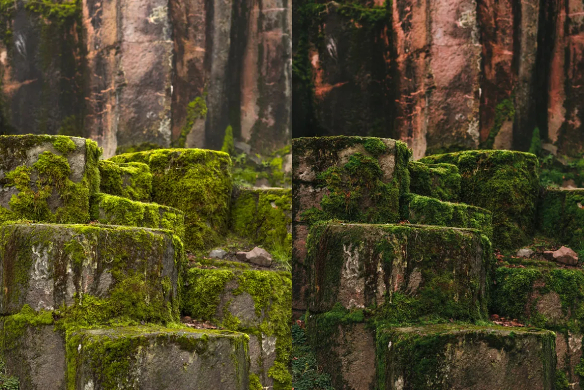 15 Moody Woods Lightroom Presets