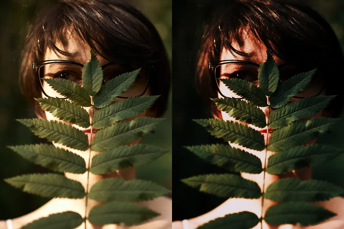 15 Moody Woods Lightroom Presets