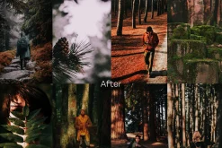 15 Moody Woods Lightroom Presets