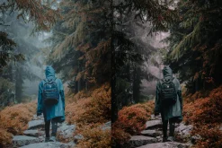 15 Moody Woods Lightroom Presets
