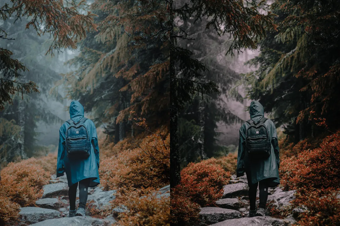 15 Moody Woods Lightroom Presets