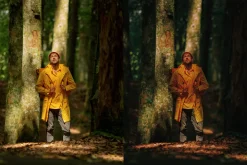 15 Moody Woods Lightroom Presets