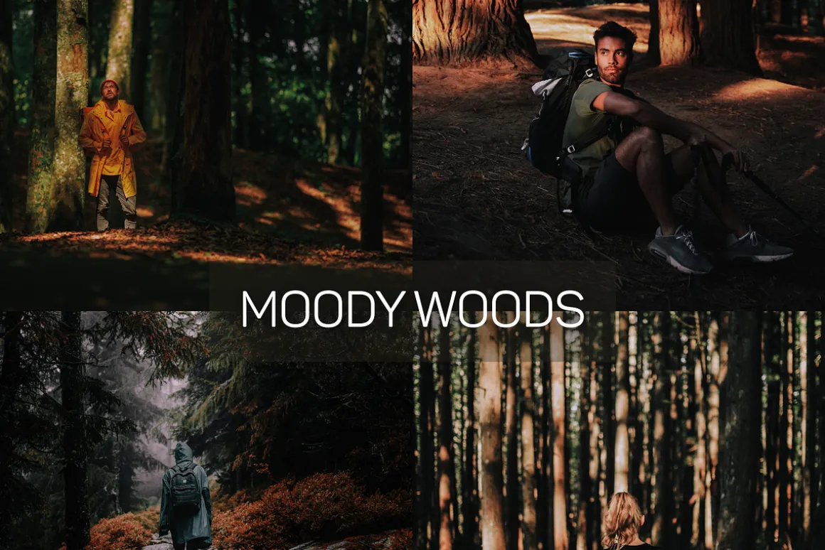 15 Moody Woods Lightroom Presets