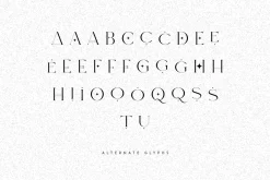 Moon Type Creative logo font