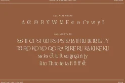 Morefa Modern Elegant Serif Font