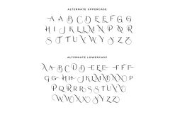Mosseta Elegant Ligature Display