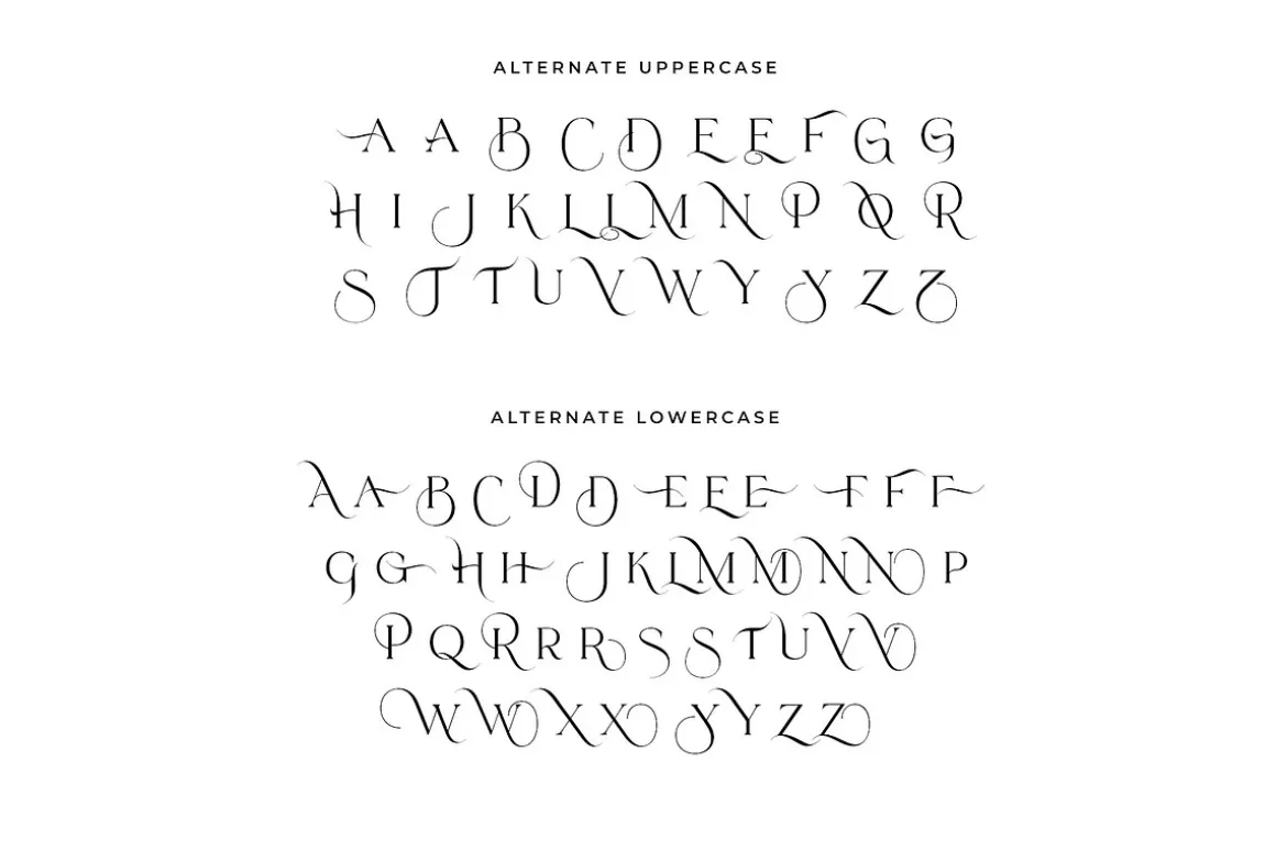 Mosseta Elegant Ligature Display