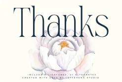 Mostlight Modern Alternate Serif