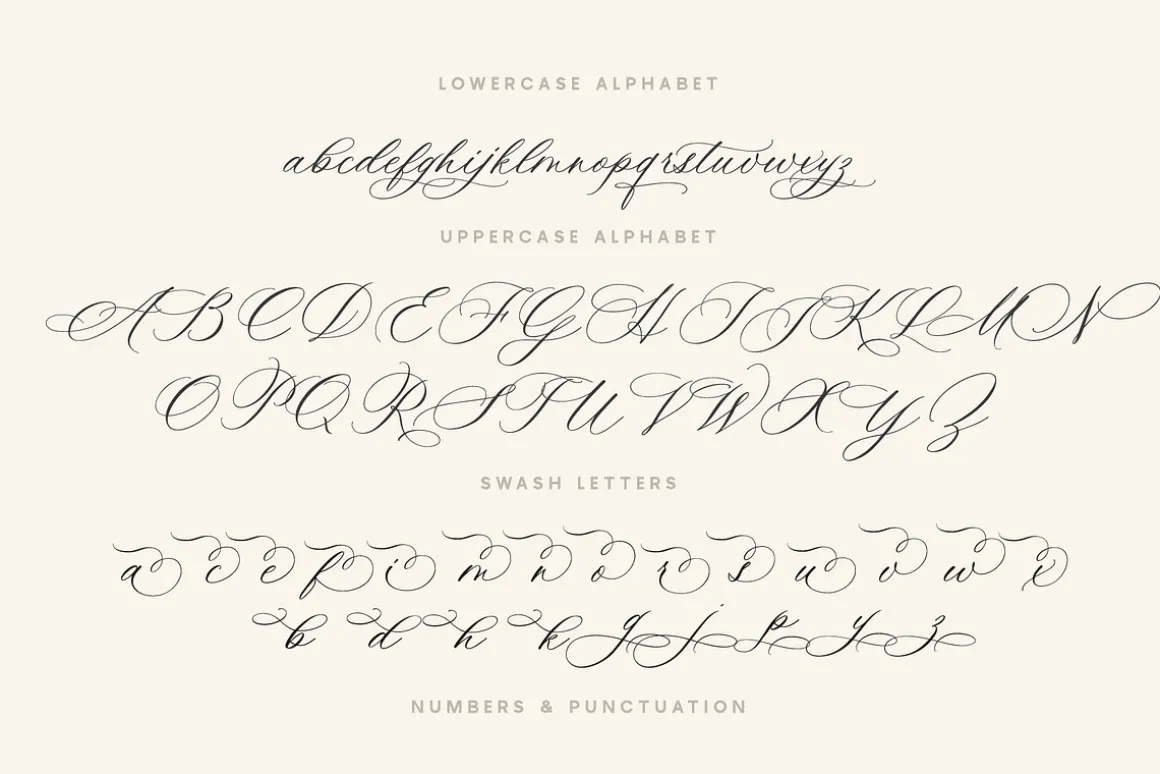 Ms Claudy | Wedding Calligraphy Font