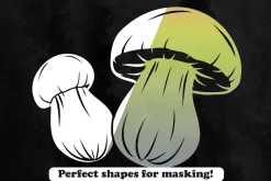 Mushroom Photoshop Stamp Brushes