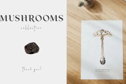 Mushrooms illustrations. Fungi set