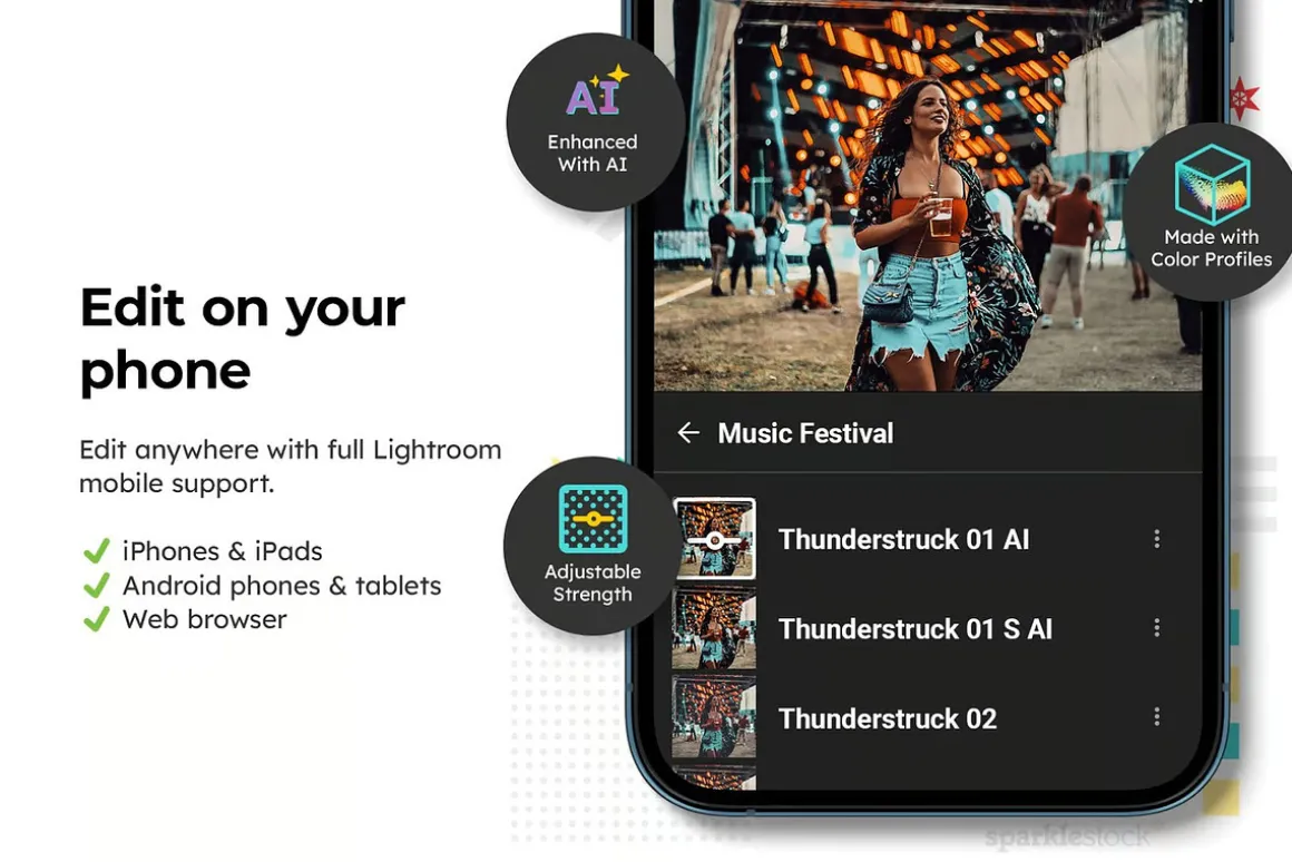 14 Music Festival Lightroom Presets