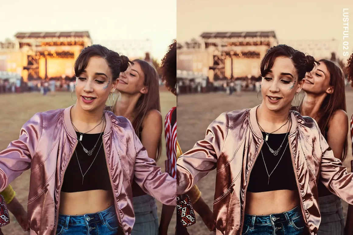 14 Music Festival Lightroom Presets