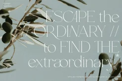 MYROGE elegant & stylish serif