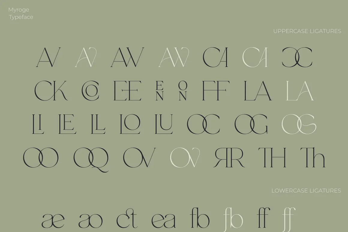 MYROGE elegant & stylish serif