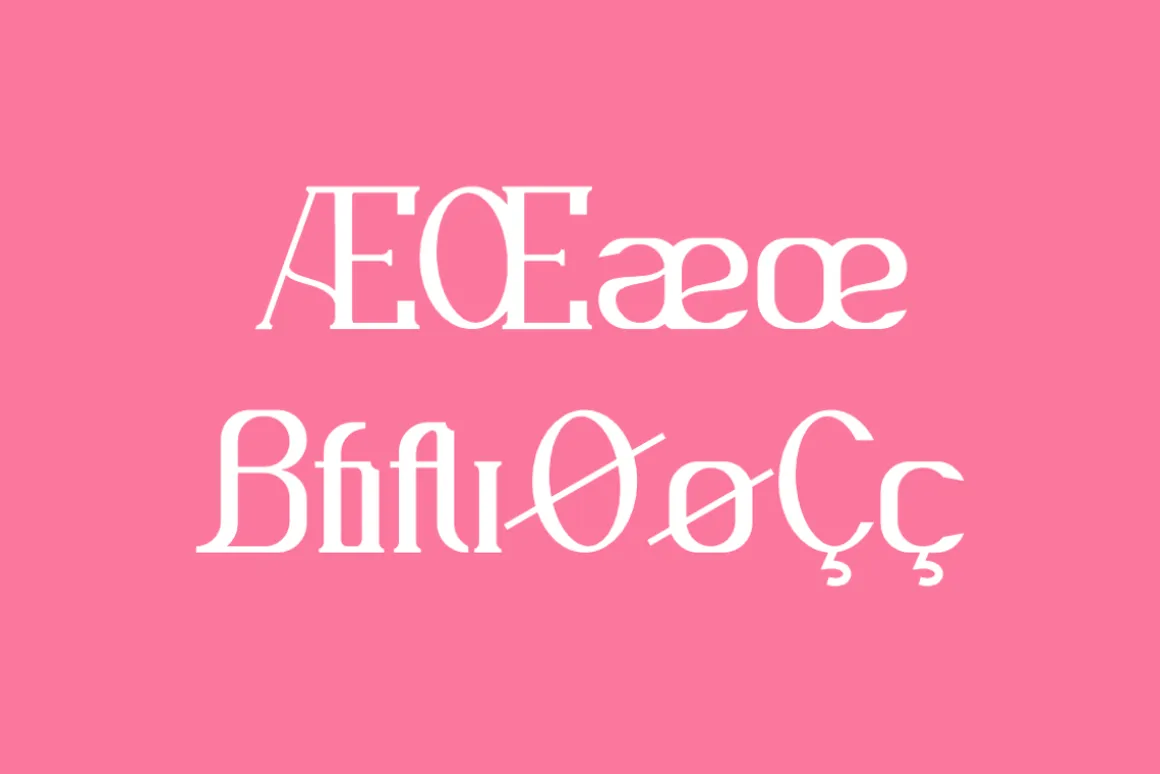 Nafegise - Elegant Serif Typeface