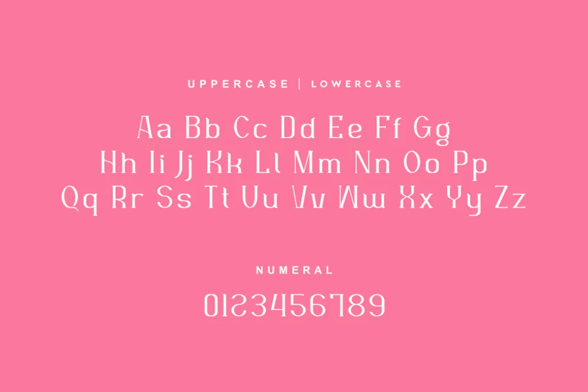 Nafegise - Elegant Serif Typeface
