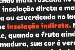 Naguel -50% All