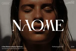 Naomi Modern Serif Font