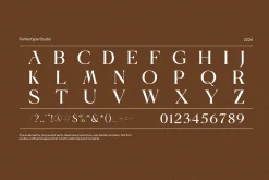 Naomi Modern Serif Font
