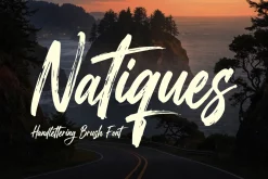 Natiques - Handlettering Brush Font