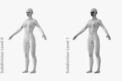 Natural Female 01 A-Pose Base Mesh