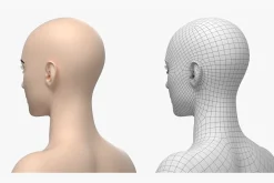 Natural Female 01 A-Pose Base Mesh