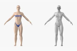 Natural Female 01 A-Pose Base Mesh