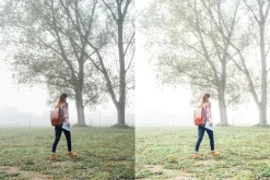 14 Natural Lifestyle LR Presets