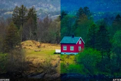 Nature Cinematic Lightroom Presets
