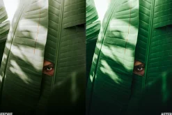 Nature Moody Green Lightroom Preset