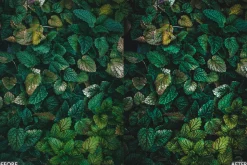 Nature Moody Green Lightroom Preset