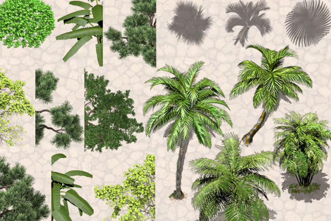 NATURE OBJECTS