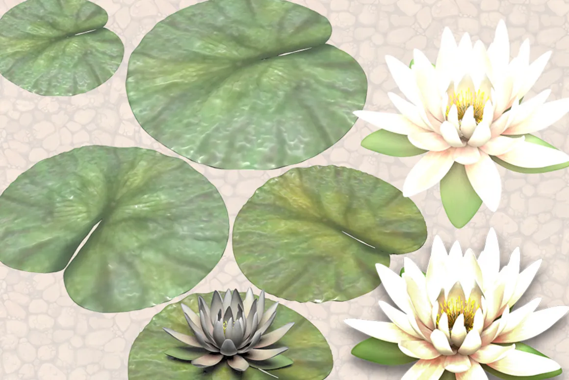 NATURE OBJECTS