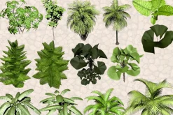 NATURE OBJECTS