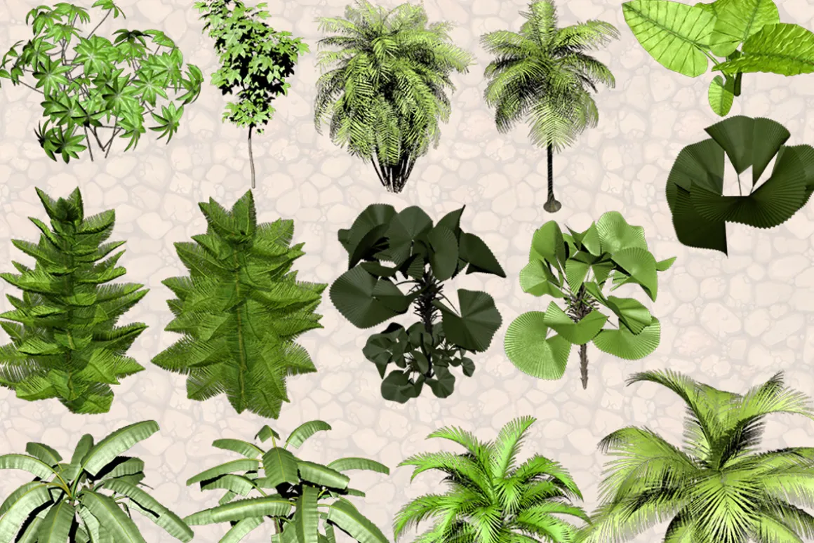 NATURE OBJECTS