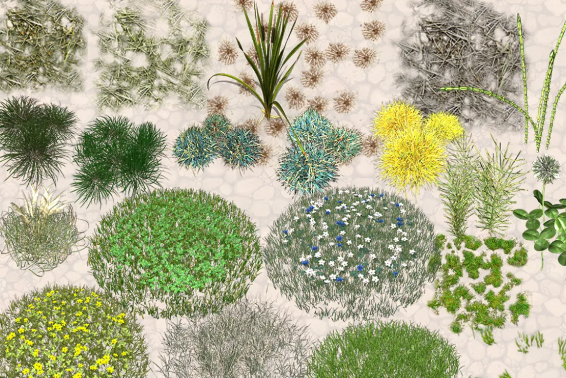 NATURE OBJECTS