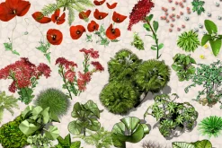 NATURE OBJECTS