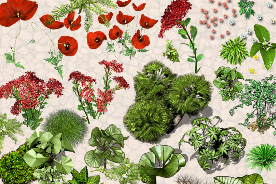 NATURE OBJECTS
