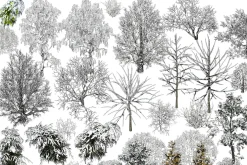NATURE OBJECTS