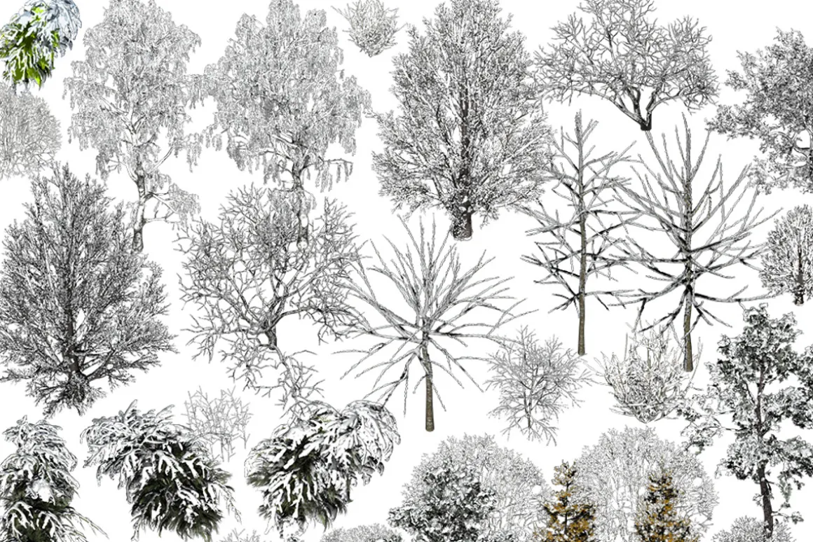 NATURE OBJECTS