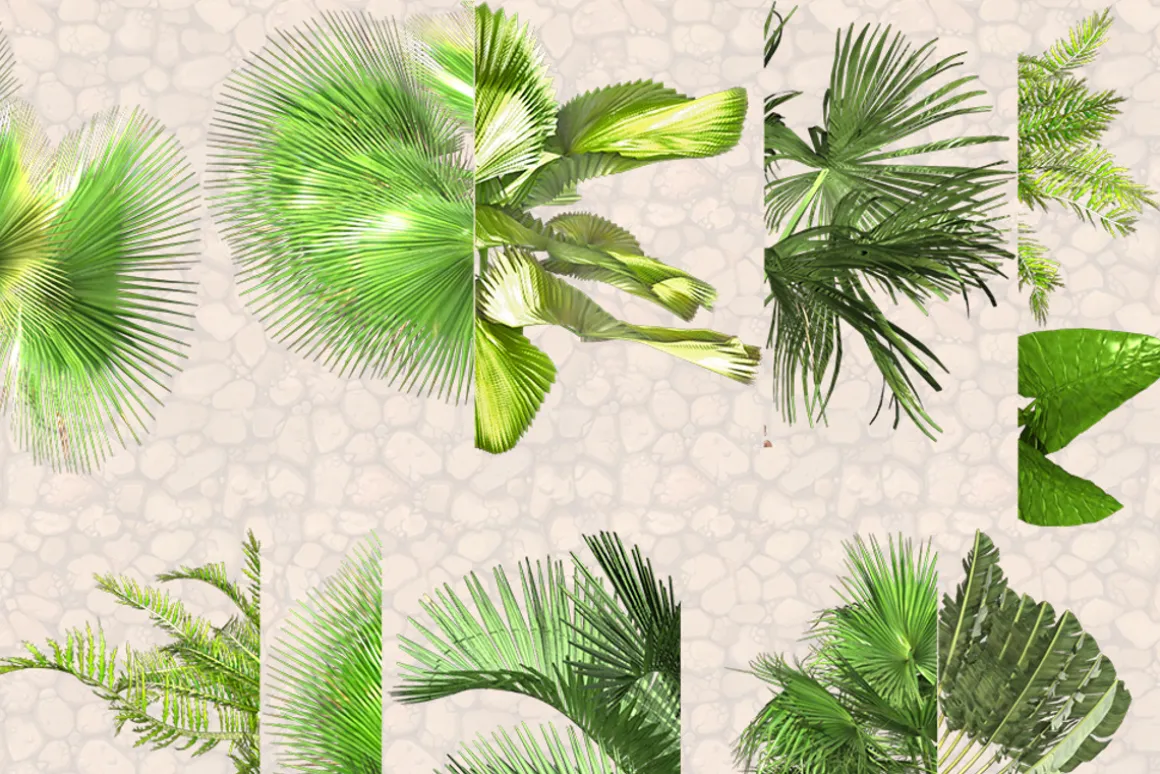NATURE OBJECTS