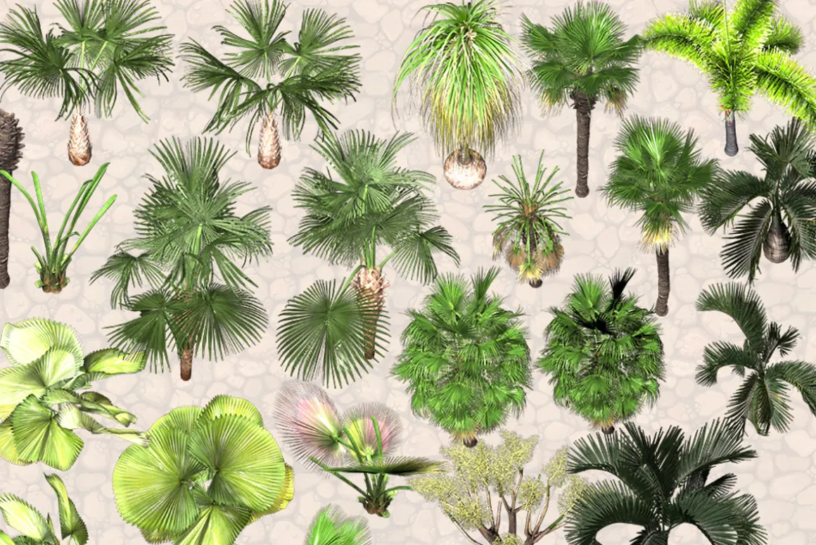 NATURE OBJECTS