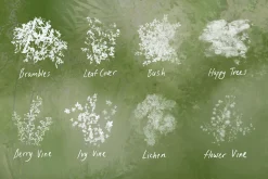 Nature Studio - Procreate Brushes