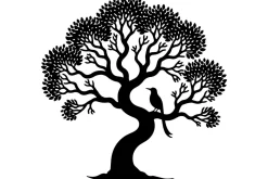 Nature’s Whispers: Mind & Tree Blend