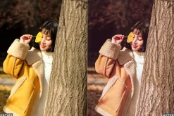 Nature Yellow Lightroom Presets