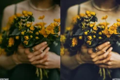 Nature Yellow Lightroom Presets
