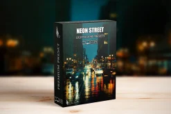 Neon Street Lightroom Presets