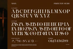 Neoza Modern Serif Font